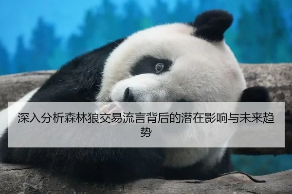 深入分析森林狼交易流言背后的潜在影响与未来趋势